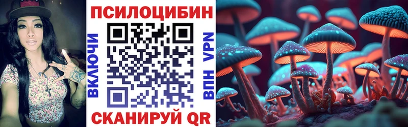 Галлюциногенные грибы Cubensis  Купить закладки  Красный Холм 